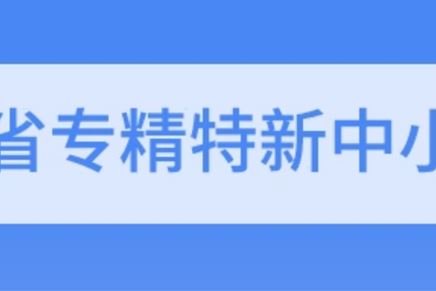 我司通過(guò)2021年度省級(jí)專精特新中小企業(yè)復(fù)核